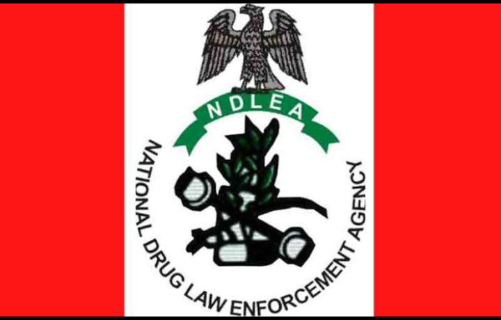 NDLEA appoints new zonal Commander for Imo